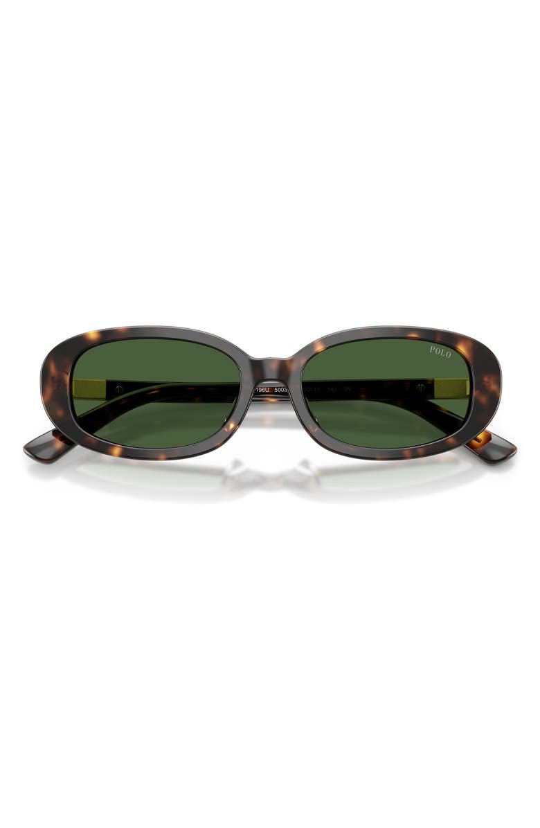 Polo Ralph Lauren 53mm Oval Sunglasses, Alternate, color, Shiny Dark Havana / Green