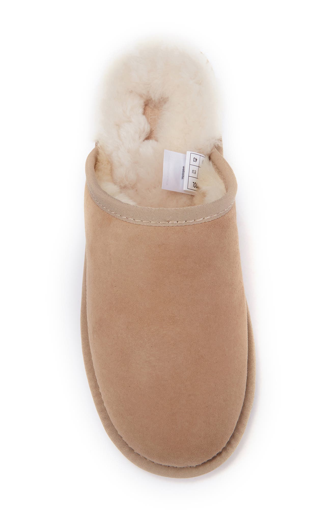 Australia Luxe Collective Mool Genuine Shearling Lined Slipper, Alternate, color, Sand