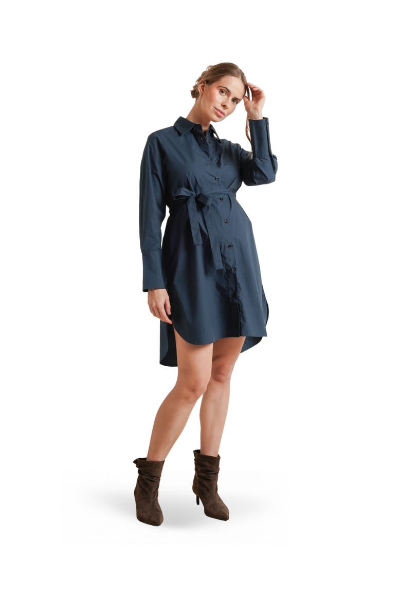 Weekday Maternity & Nursing Button-Down Shirtdress, Alternate, color, Dark Teal