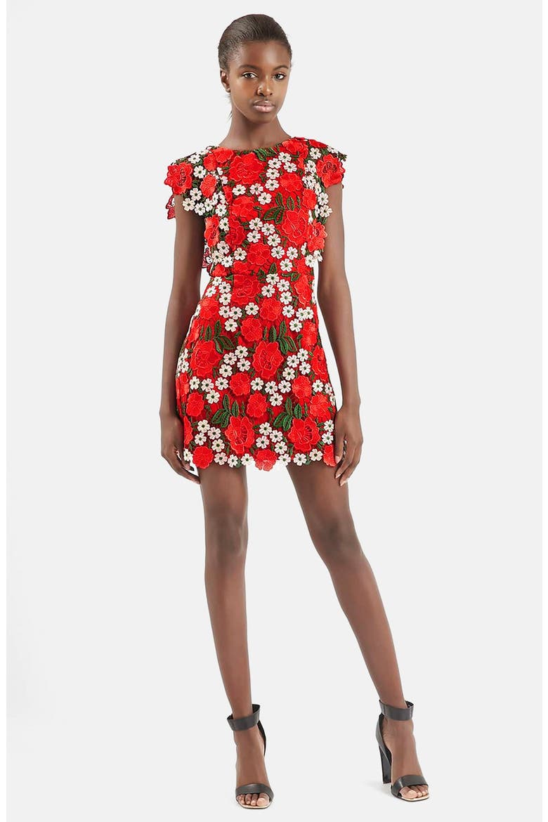 Floral Lace A-Line Dress, Main, color, RED MULTI
