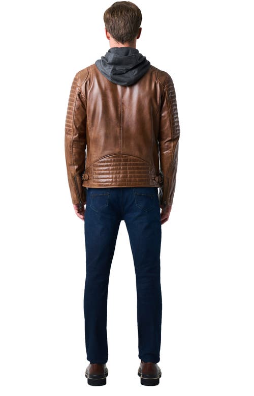 Shop Velez Belmont Leather Jacket For Men With Hood And Chestpiece In Honey