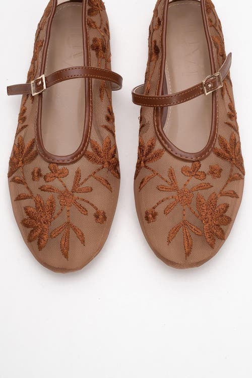 Prologue Shoes Juny Mesh Floral Embroidery Ballet Flat In Brown