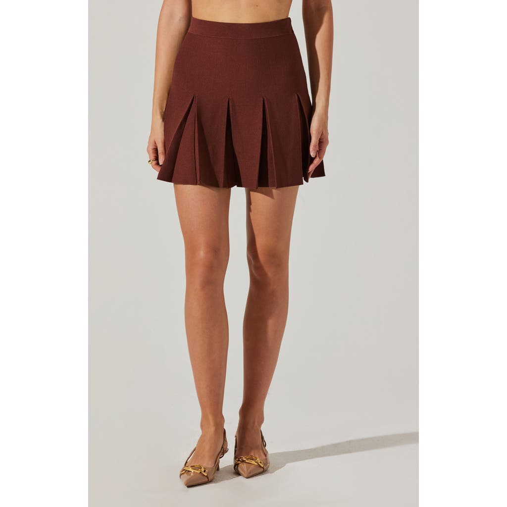 Astr The Label Denisa Pleated Miniskirt In Burgundy