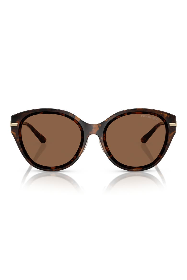 59mm Round Sunglasses, Main, color, DARK TORTOISE