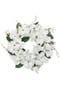 selected White