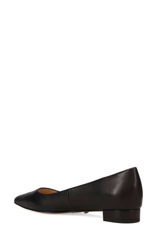 Pelle Moda Aaila Pointed Toe Flat In Black