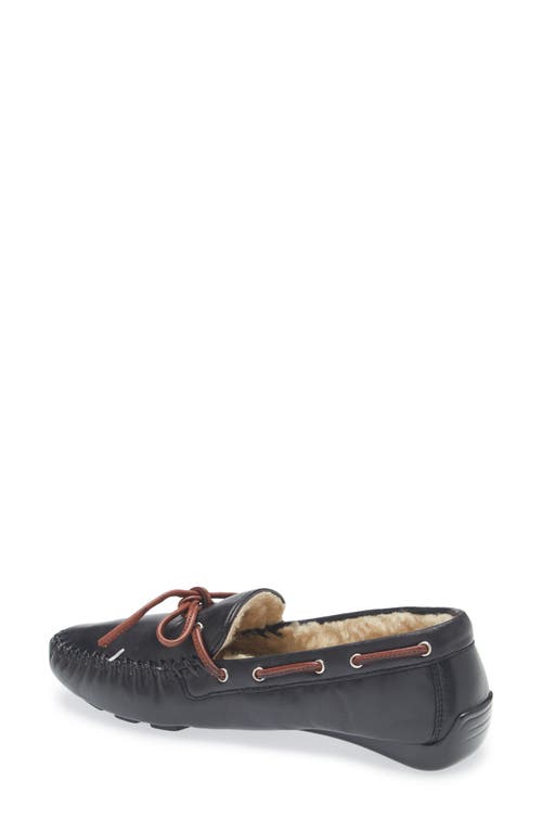 Robert Zur Bowie Faux Shearling Lined Driving Loafer In Black