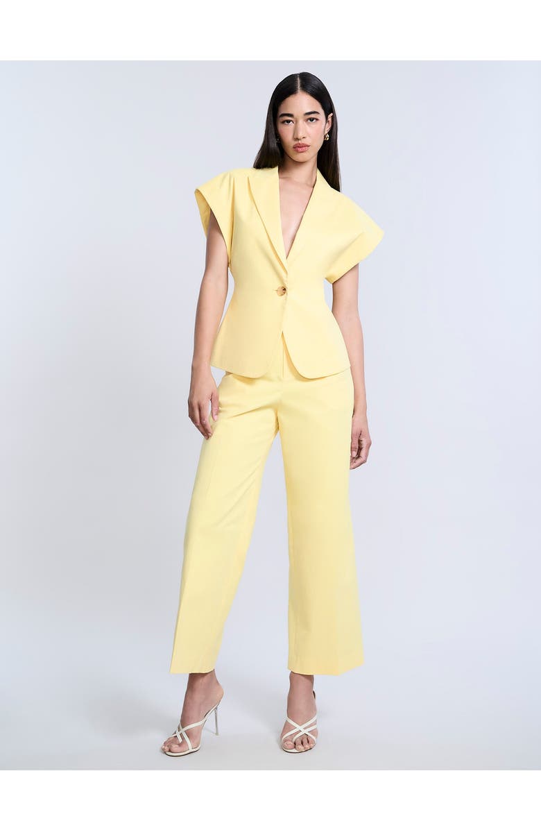 BCBGMAXAZRIA Twill Vest, Alternate, color,