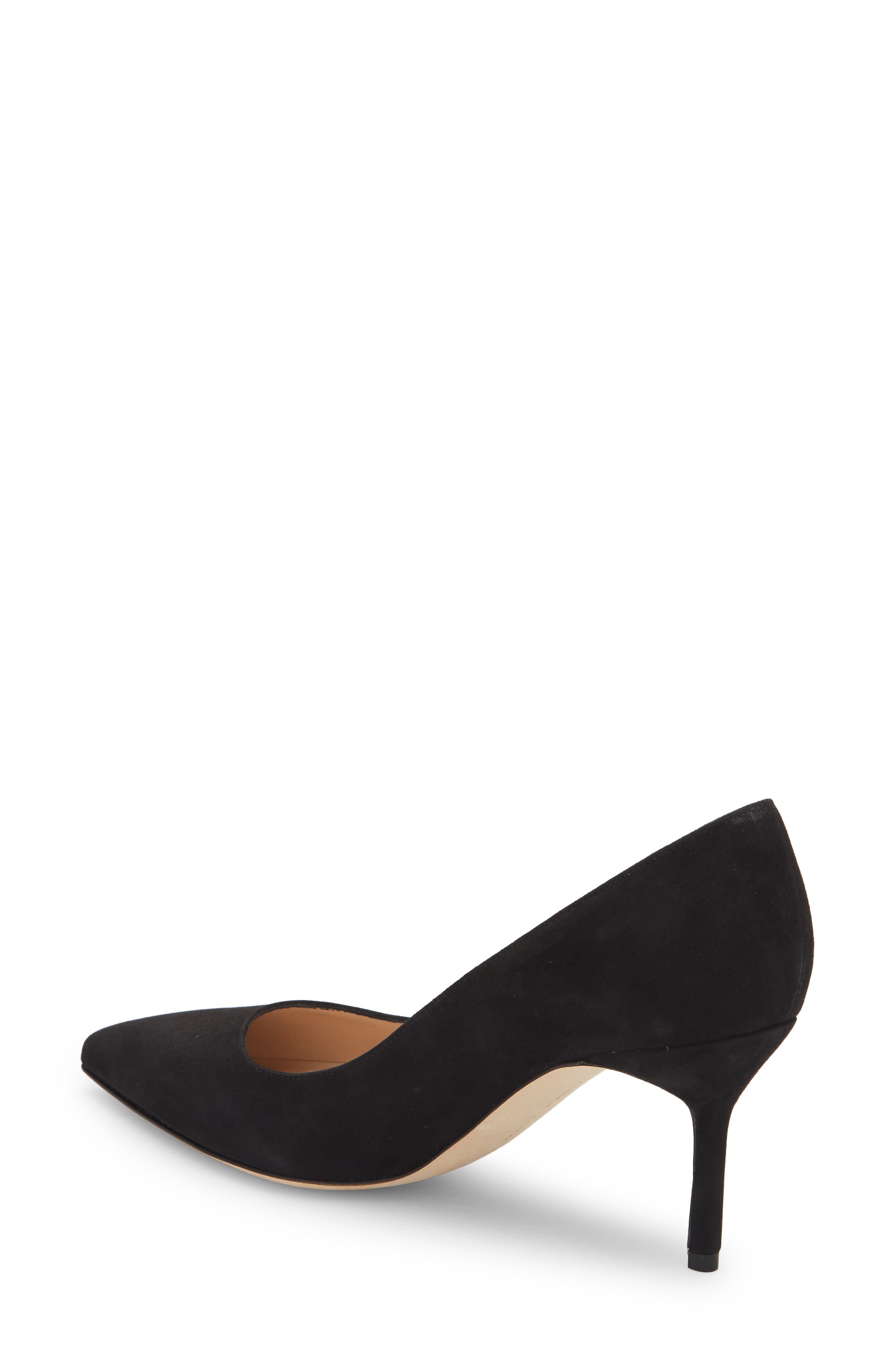 Manolo Blahnik BB Pointed Toe Pump, Alternate, color, Black Suede