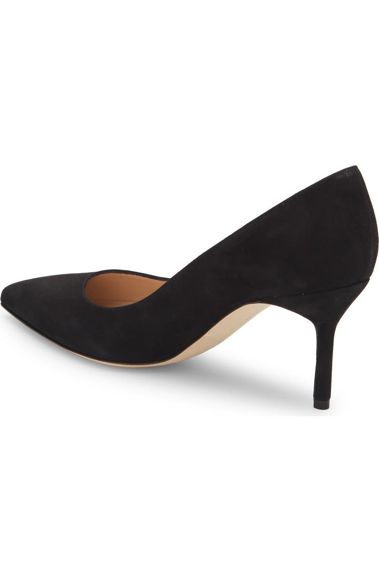 Manolo Blahnik BB Pointed Toe Pump, Alternate, color, Black Suede