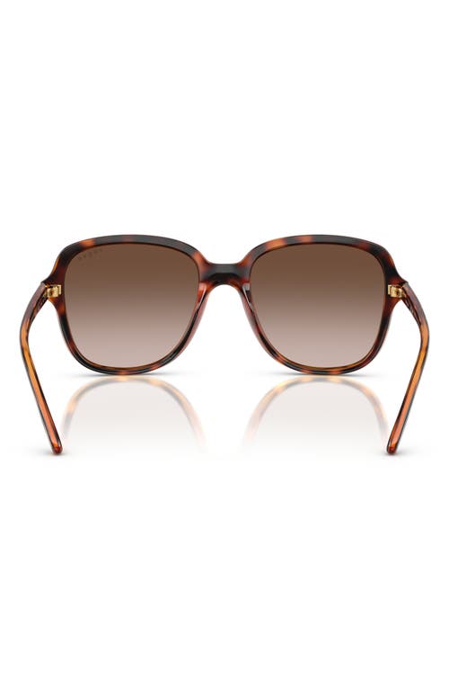 Vogue 53mm Polarized Square Sunglasses In Dark Havana