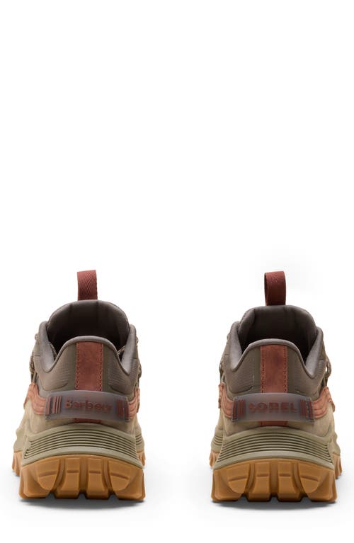 Sorel X Barbour Callsign Horizon Gore-tex® Waterproof Sneaker In Brown