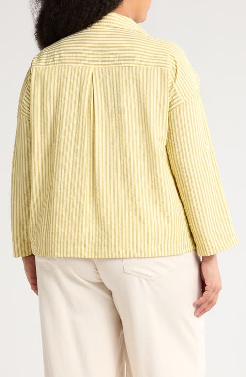 Max Studio Stripe Top In Yellow