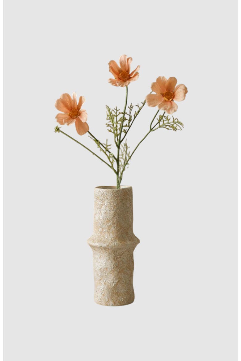 Champagne Cosmo Daisy Flower, Main, color, Beige