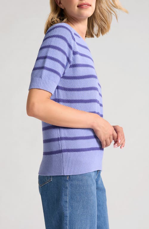 Matty M Mara Short Sleeve Sweater In Purple