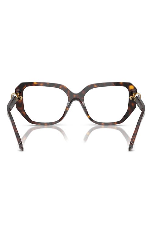 Swarovski 55mm Geometric Optical Glasses In Havana