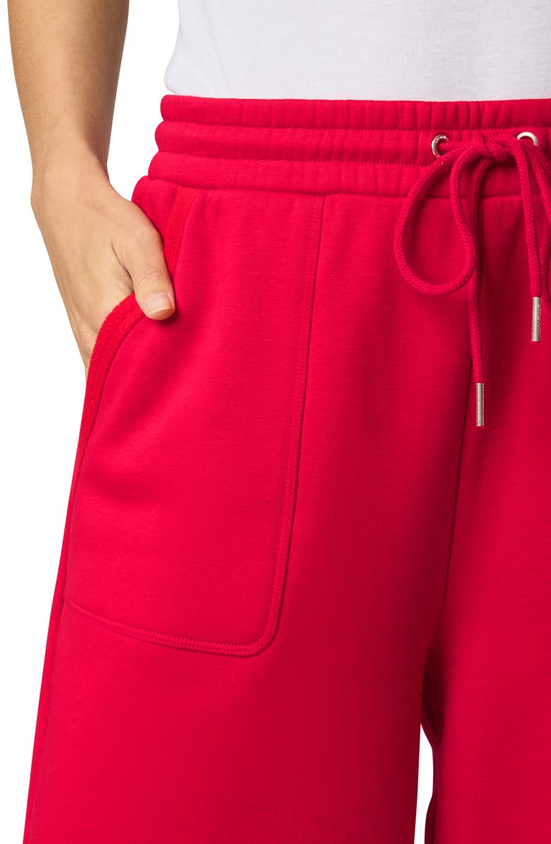 Splendid Goldie Sweatpants, Alternate, color, Rouge Red