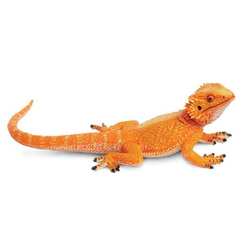 Bearded Dragon Toy