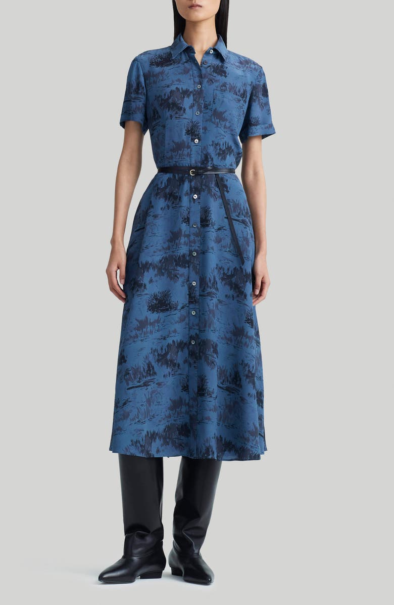 Altuzarra Kiera Print Silk Shirtdress, Alternate, color, 