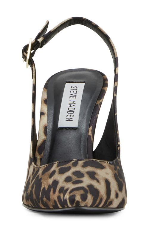 Steve Madden Blare Slingback Pointed Toe Pump In Leopard