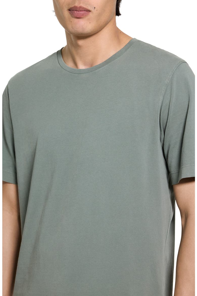 Tinted Crewneck T-Shirt, Alternate, color, TINTED IVY