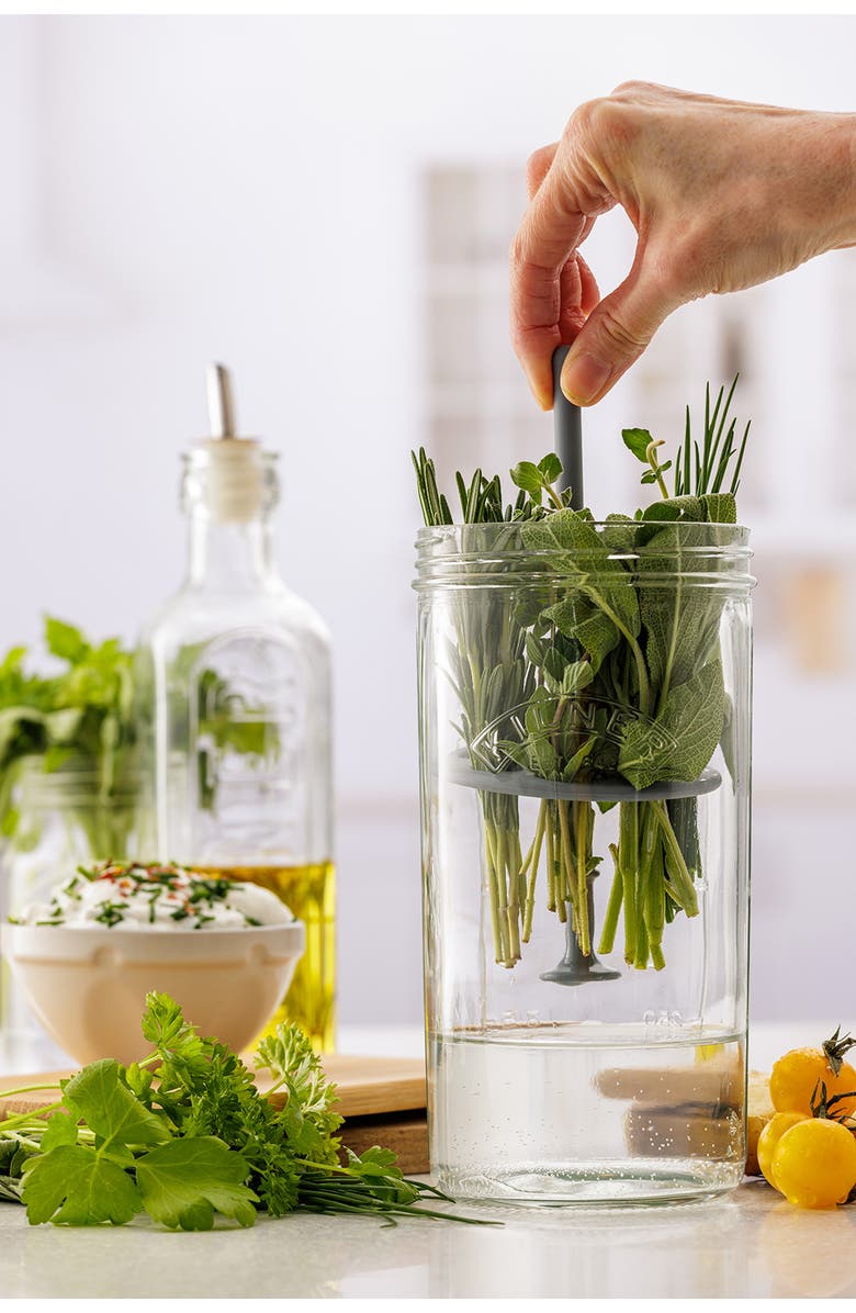 Kilner Fresh Herb Keeper, Glass Herb Storage Jar for Fridge, Alternate, color, Clear