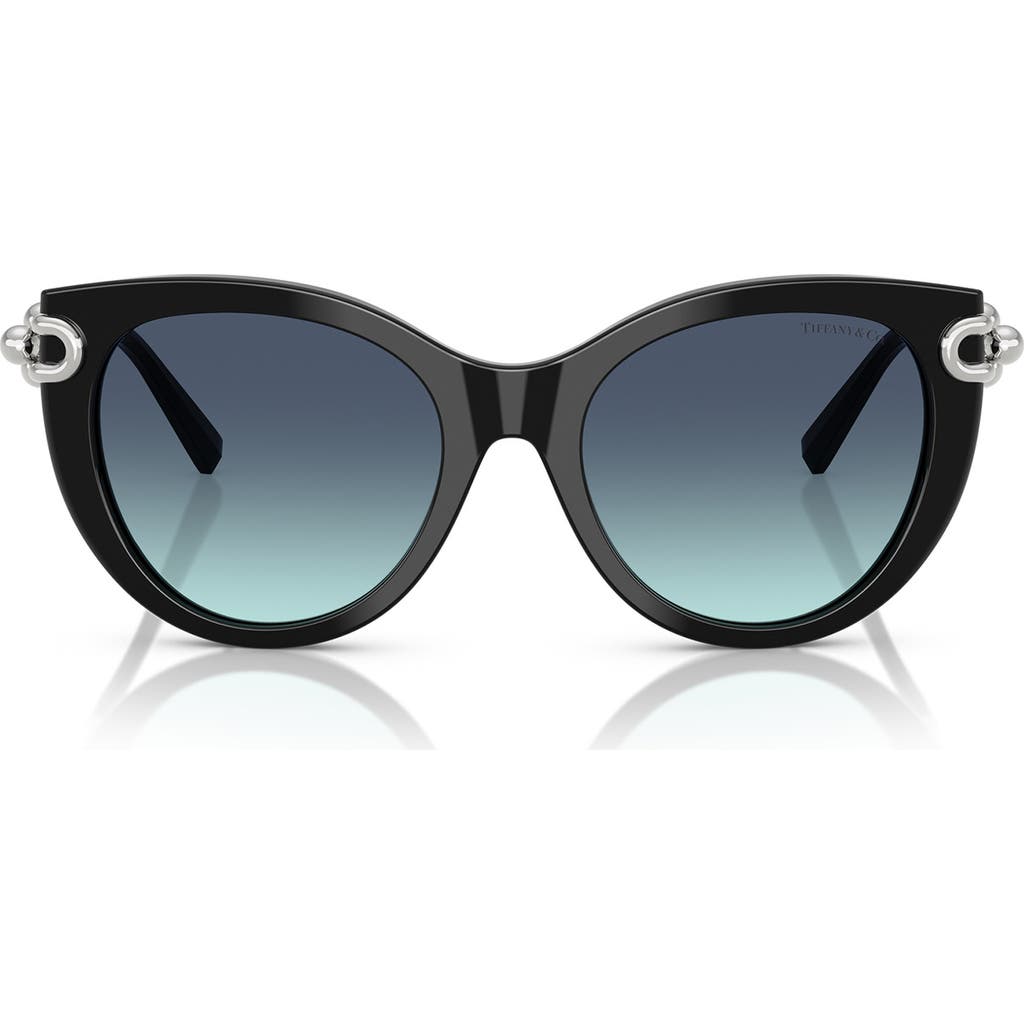 Tiffany & Co . 53mm Gradient Butterfly Sunglasses In Black