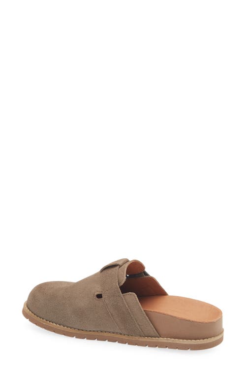 Chocolat Blu Yuko Clog In Brown
