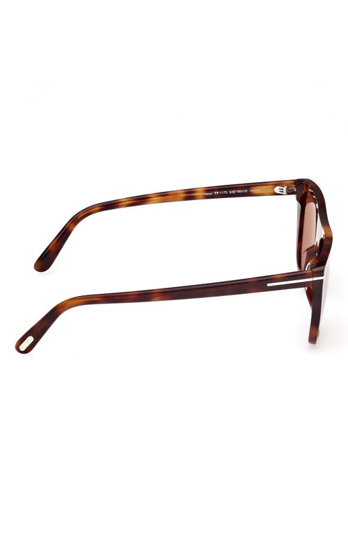 Tom Ford Aslan 56mm Rectangular Sunglasses In Brown