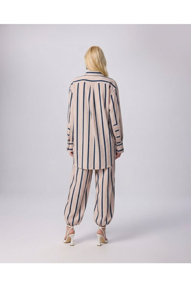 Ismene Side Button Boyfriend Stripe Shirt, Alternate, color, Eclipse Nude Stripe