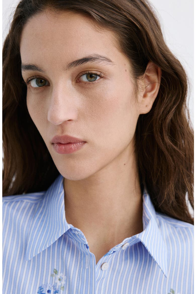 Embroidered Stripe Button-Up Shirt, Alternate, color, SKY BLUE
