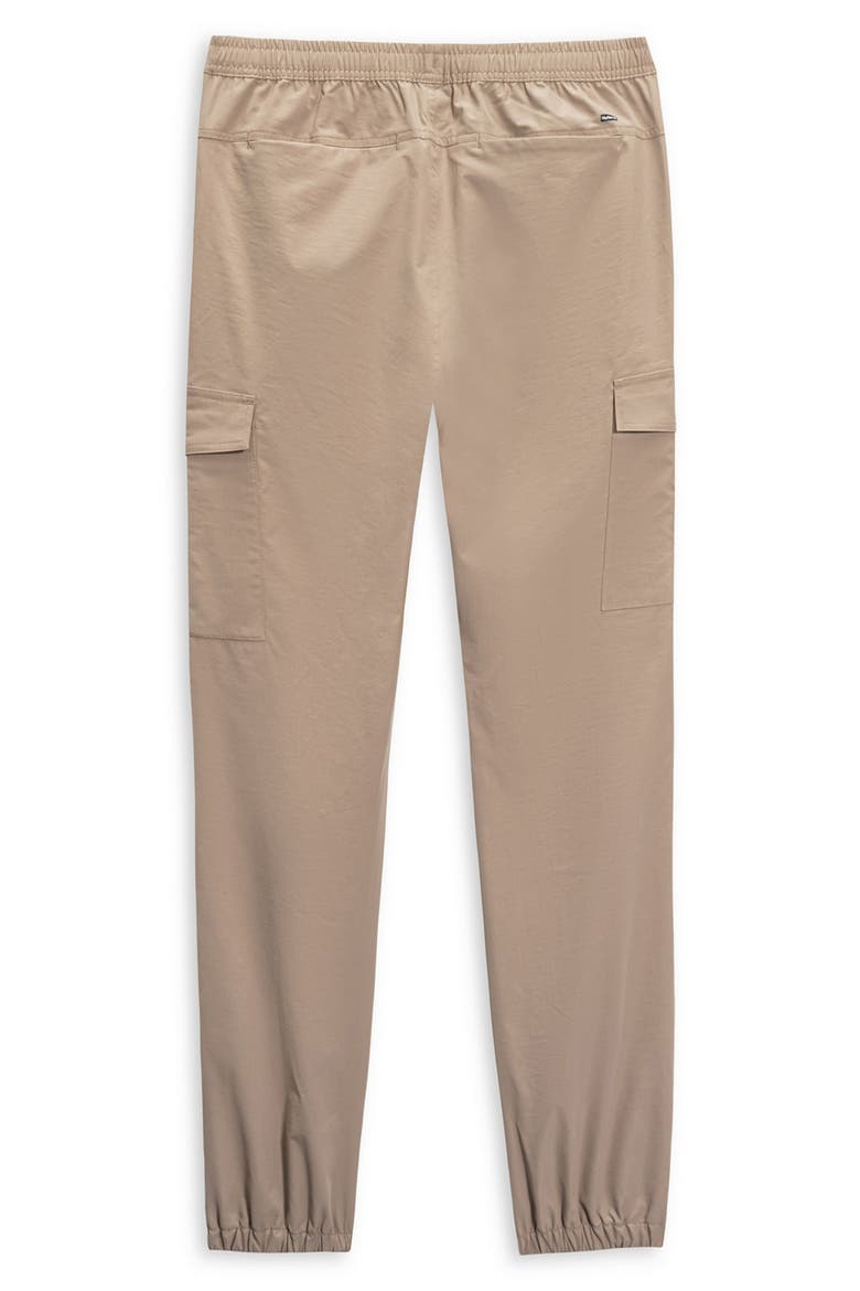 Adventure Cargo Joggers, Alternate, color, BRISTLECONE
