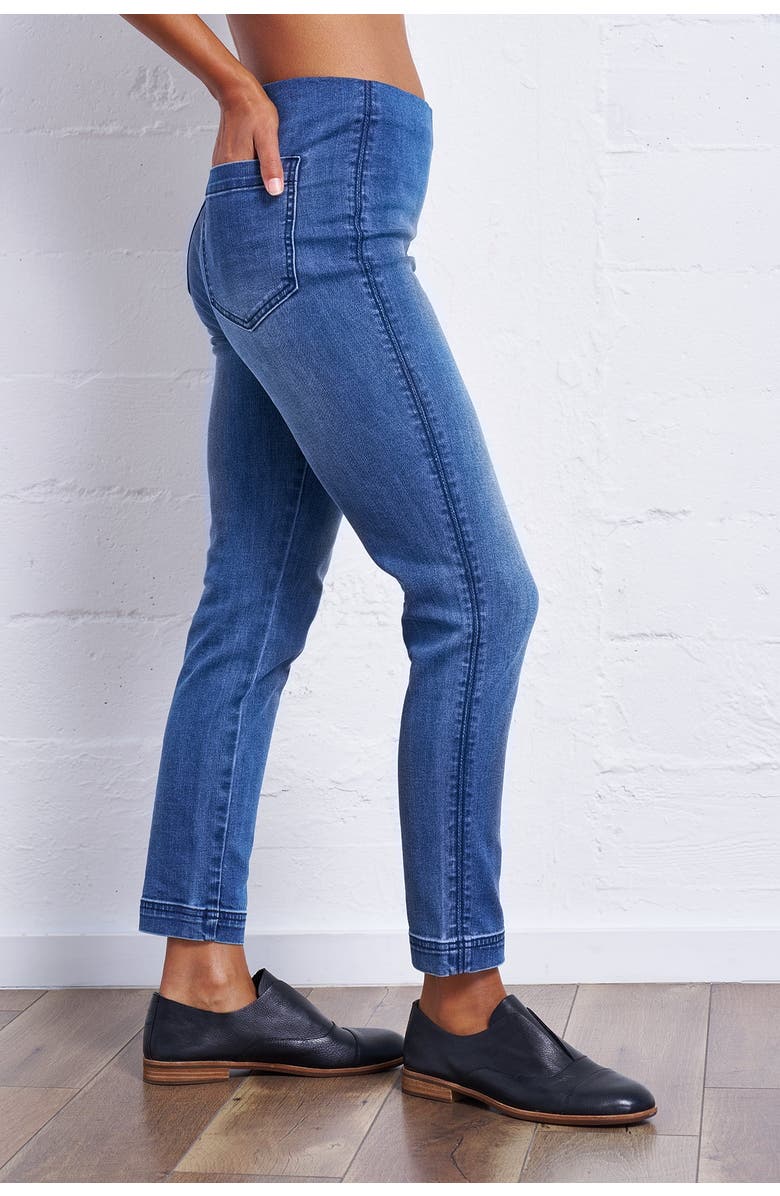 Franne Golde Original Stretch Magic Pant, Alternate, color,