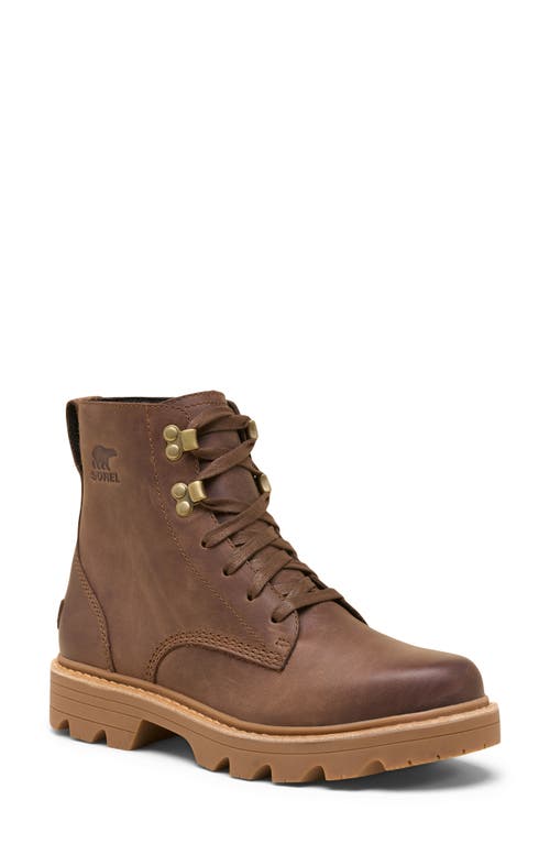 Sorel Revel Road Waterproof Boot In Brown