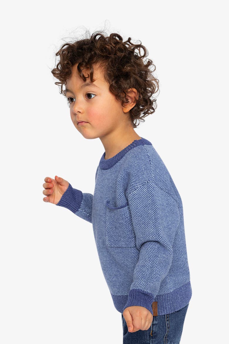 Knit Diamond Pattern Chest Pocket Sweater, Alternate, color, Blue Knit