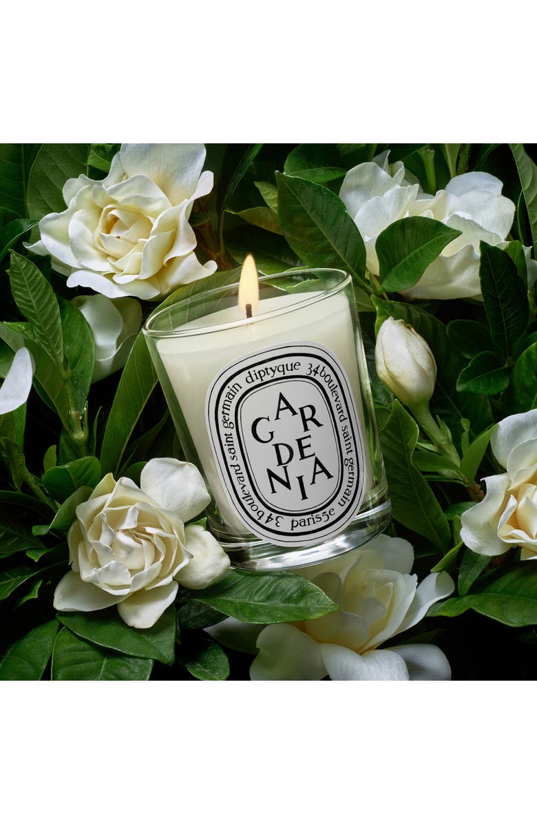 Diptyque Gardenia Scented Candle, Alternate, color,