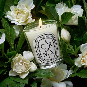 【新品未開封】diptyque キャンドル 190g GARDENIA Classic Scented Candle in Gardenia | Shop Mashburn