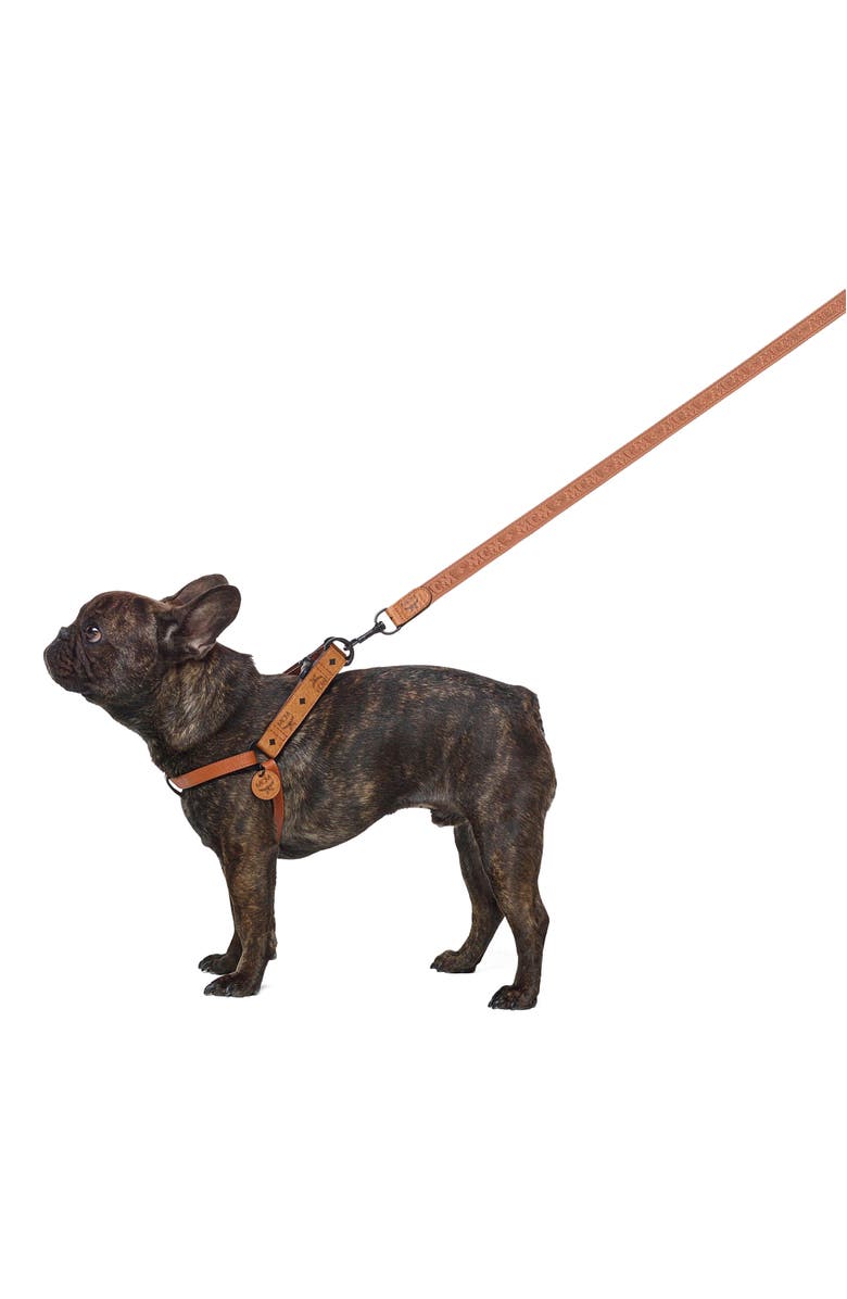 MCM Pet Leash in Visetos, Alternate, color,