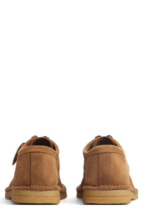 Bottega Veneta Suede Daddy Derby Shoes In Brown