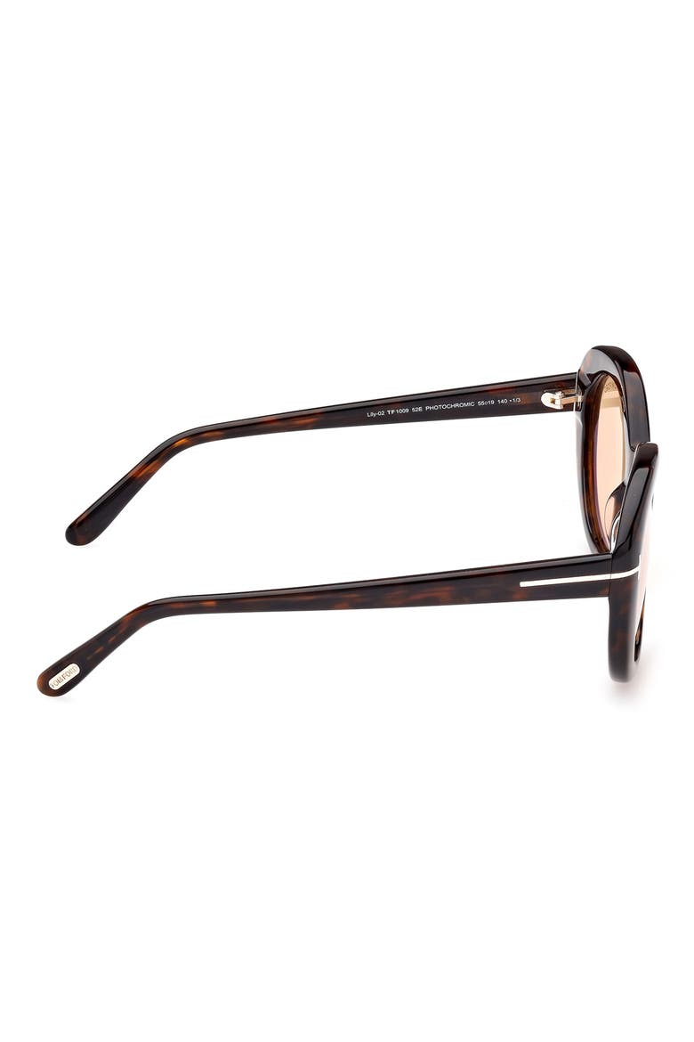 Lily-02 55mm Tinted Cat Eye Sunglasses, Alternate, color, DARK HAVANA / BROWN