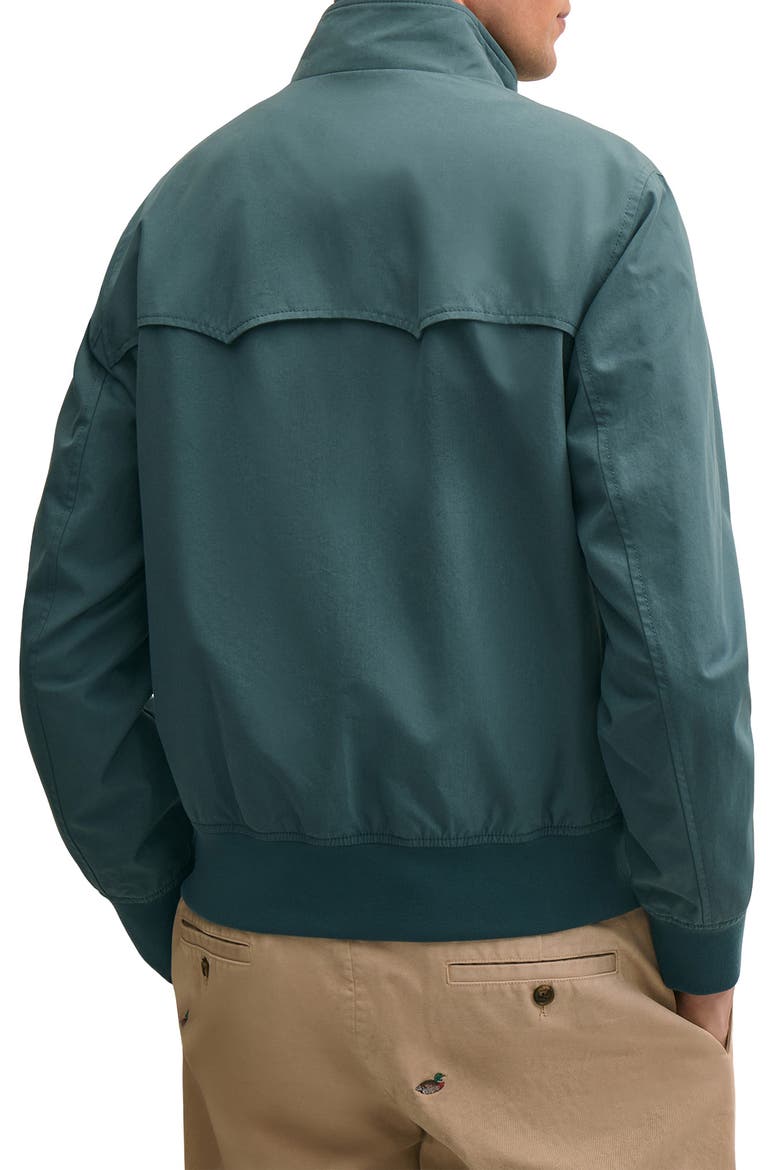 Harrington Jacket, Alternate, color, STARGAZER