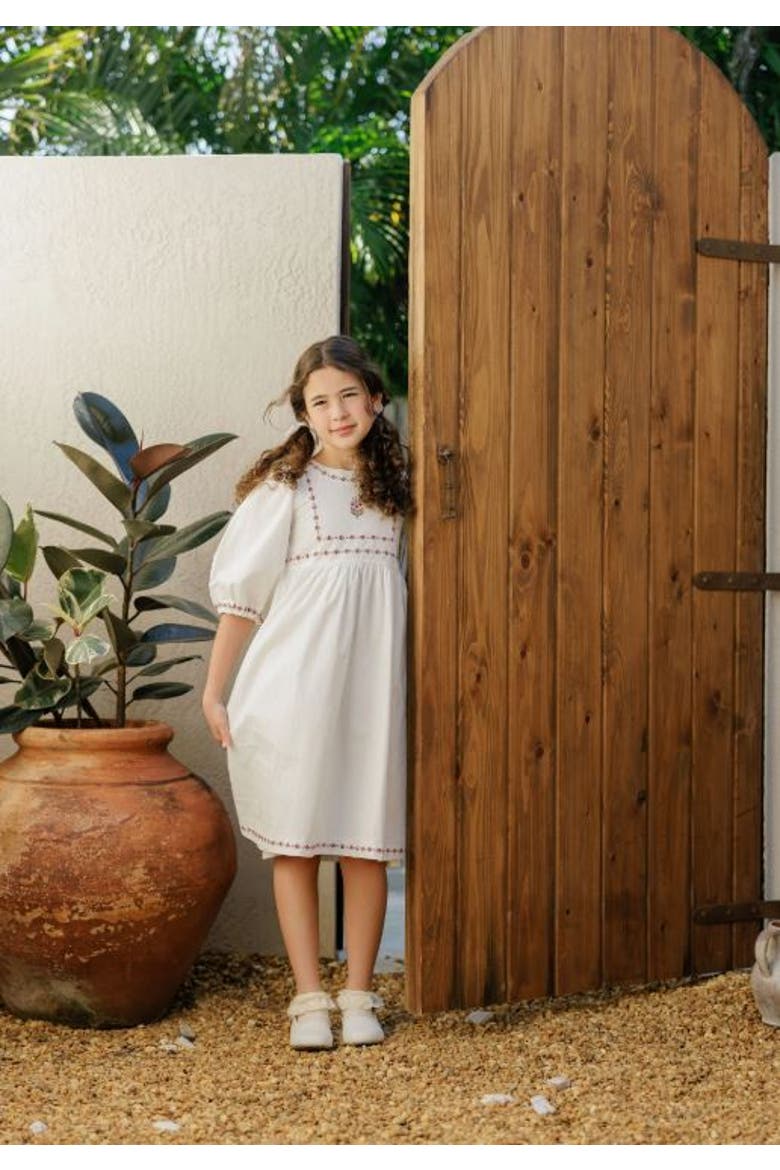 Looms Embroidered Trim Collection - Dress, Alternate, color, Ivory