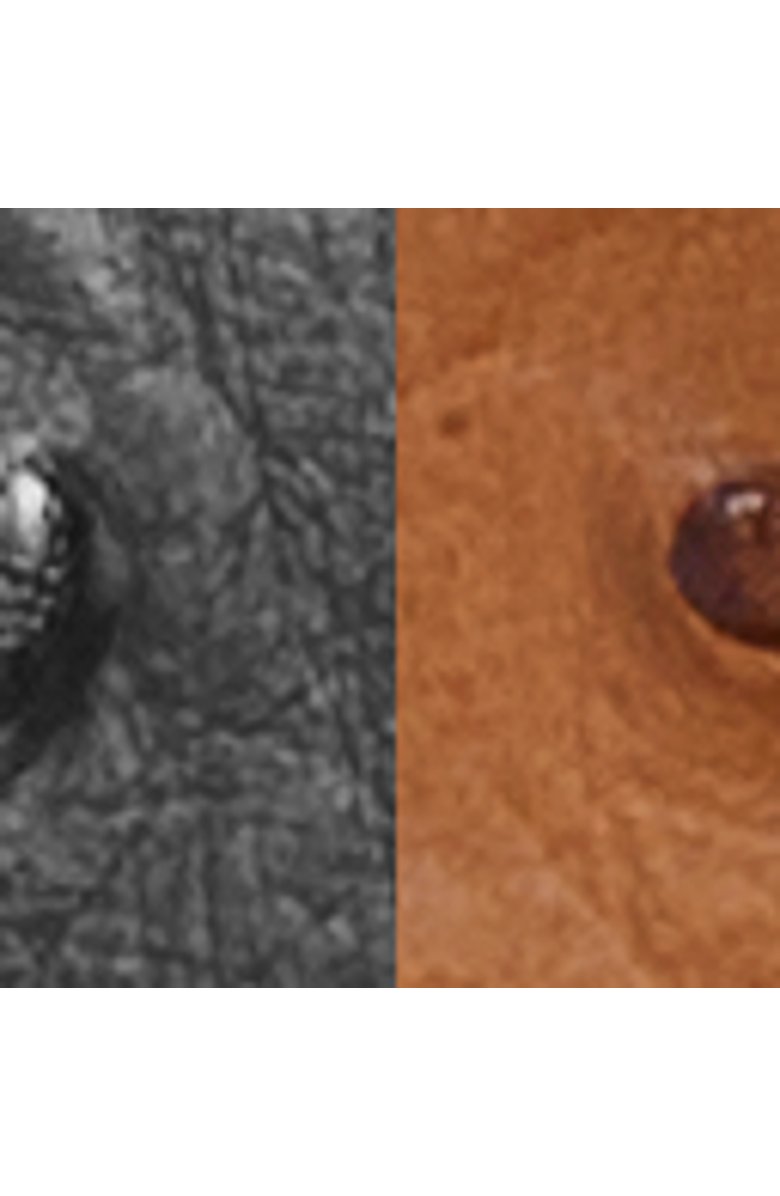 Paul Fredrick Ostrich Embossed Reversible Belt, Alternate, color, Black/Tan