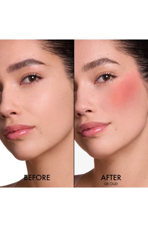 Dior ' Forever Blush Soft Filter Liquid Blush