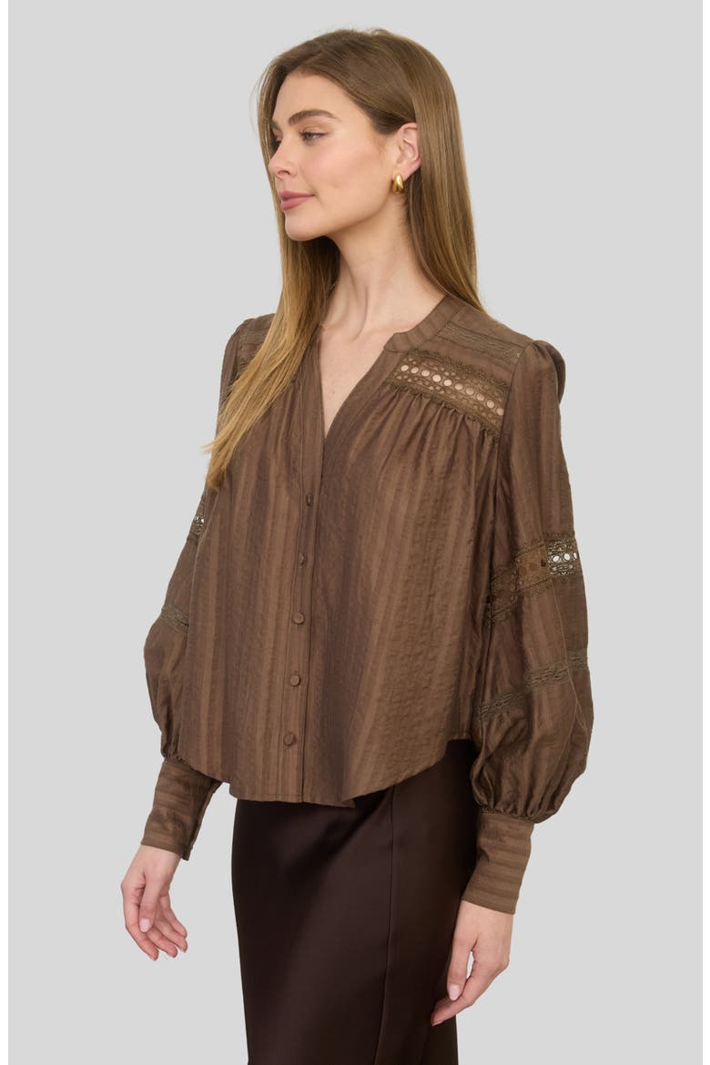 Lace Detail Button Front Stripe Top, Alternate, color, BROWN