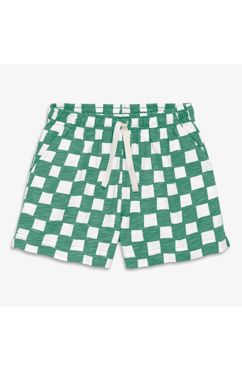 Primary Kids Park Short In Check, Main, color, Sunwashed Teal White Checks