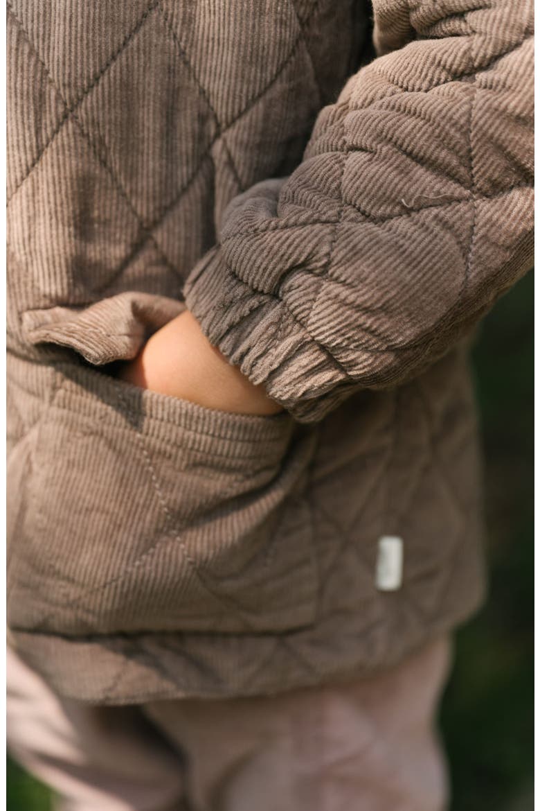 Organic Cotton Corduroy Quilted Hooded Jacket, Alternate, color, BROWN