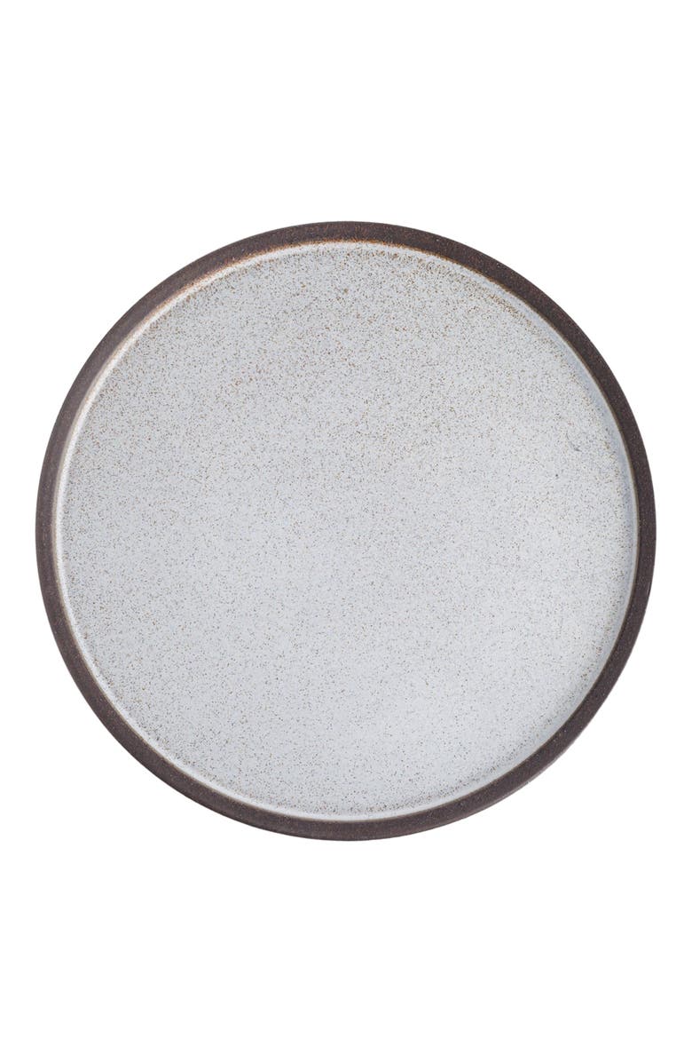 Stone Lain Vince Stoneware 4-Piece Dinner Plate Set, Alternate, color, Gray-Green-Blue
