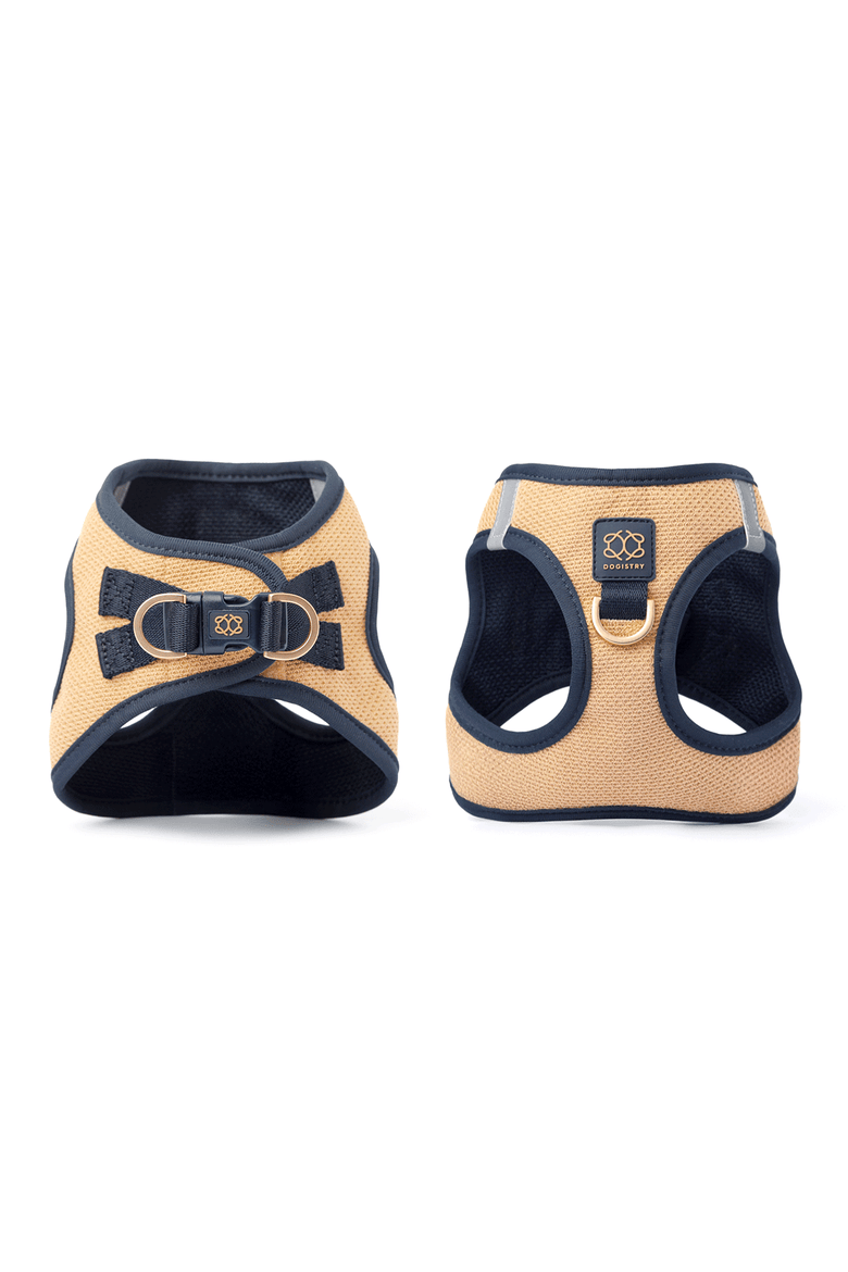 SoHo Dog Walking Set, Alternate, color, Dune