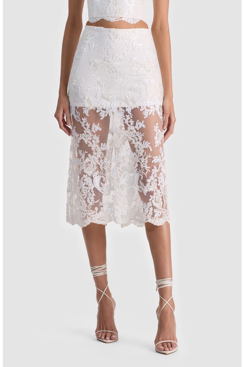 Medine Lace Embroidery Slip Skirt, Main, color, OFF WHITE